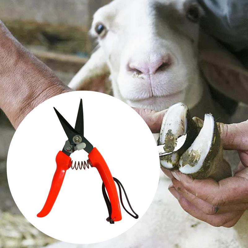 Sheep Hoof Trimmers Shrub Plan - Woodworking Horse ulasan dan harga
