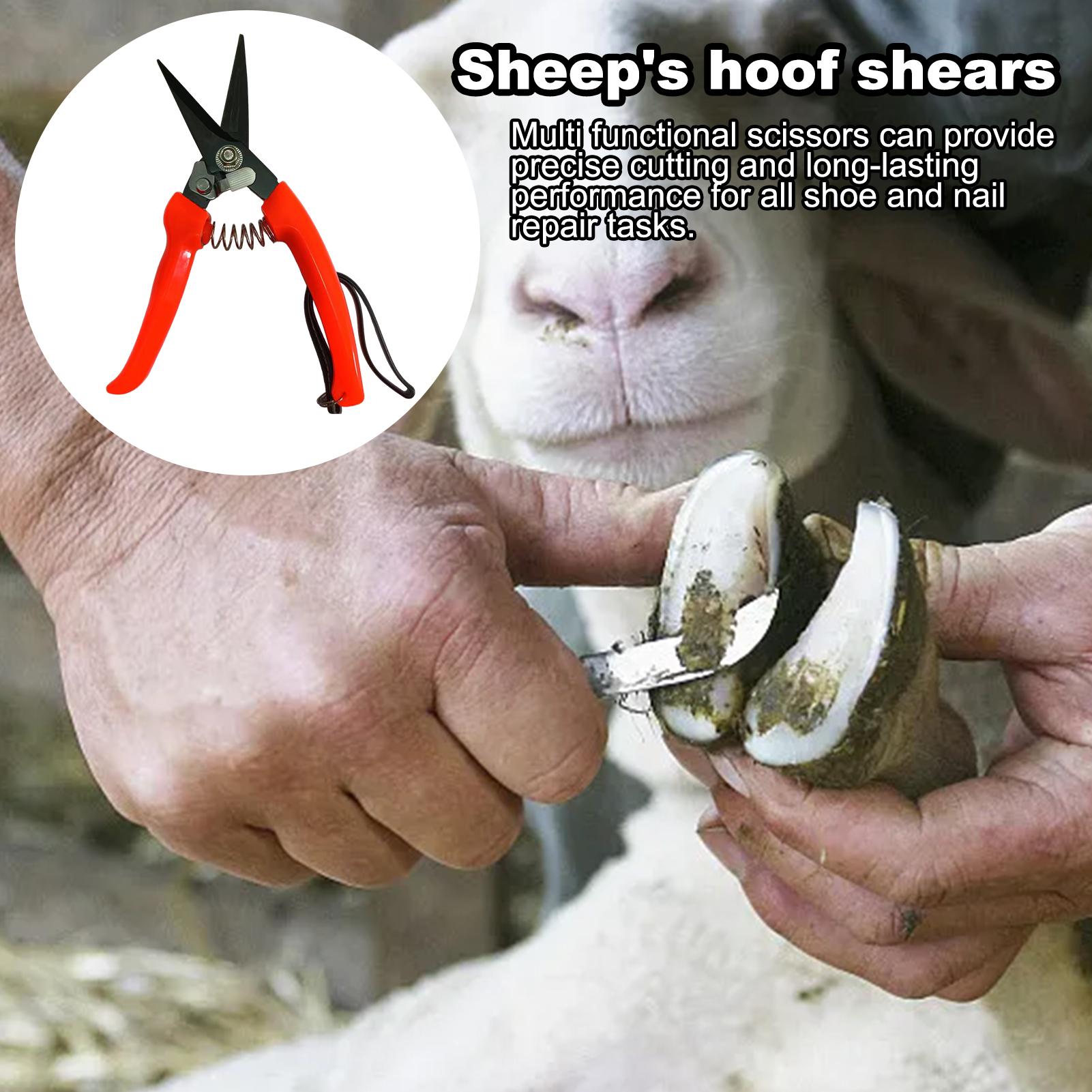 Goat Hoof Trimmer Ergonomic Sh - Woodworking Horse ulasan dan harga
