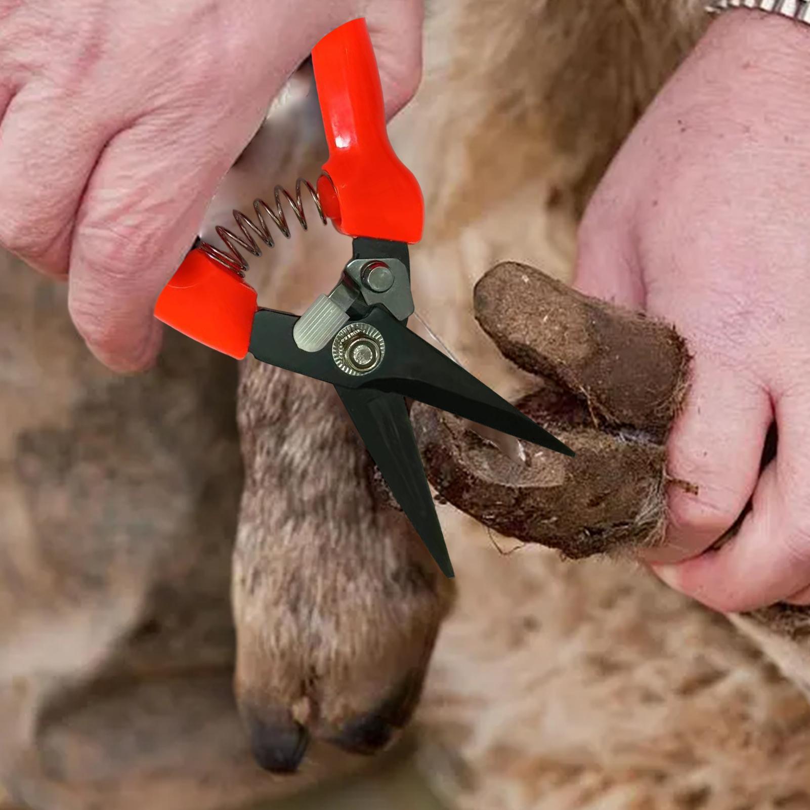 Goat Hoof Trimmer Ergonomic Sh - Woodworking Horse ulasan dan harga