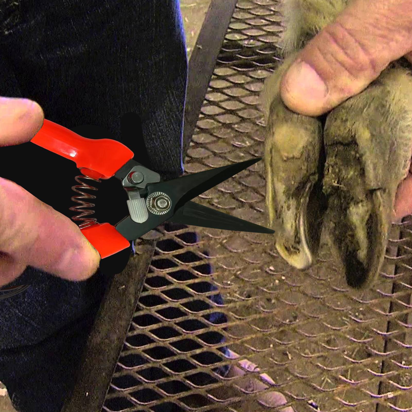 Goat Hoof Trimmer Ergonomic Sh - Woodworking Horse ulasan dan harga